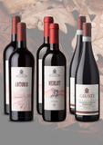 Promo Autunno